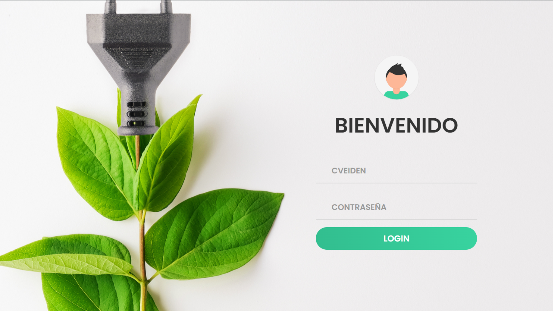 Proyecto 3